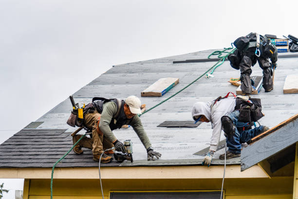 Professional Storm Damage Roof Repair technician working in Russiaville, IN
